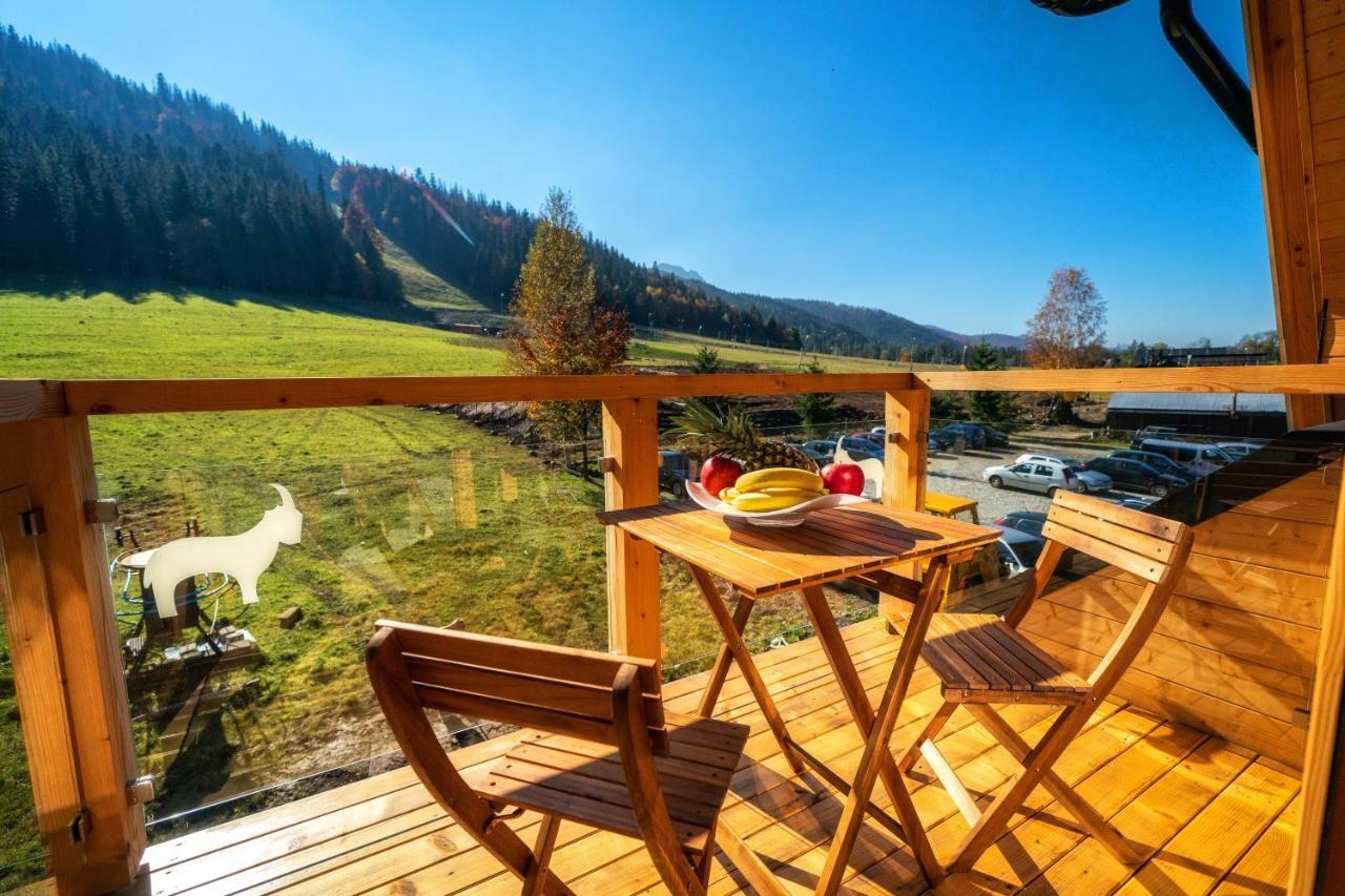 Nosal Apartment Zakopane Exteriör bild